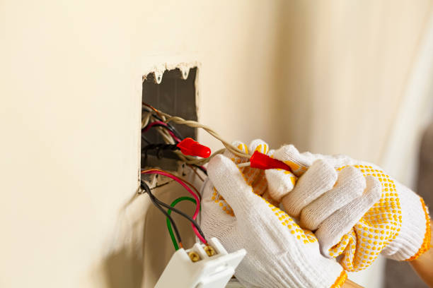 Best Electrical Panel Upgrades  in Lake Placid, FL